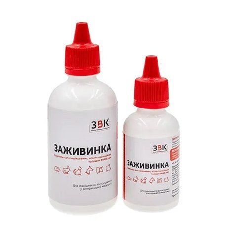 Антибактеріальна присипка &ldquo;Заживинка&rdquo;, 70 г 000125 фото
